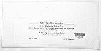 Image Associated With the Occurence